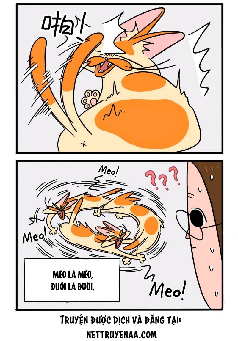 A Mãn Và Mạch Trà Chapter 8 - 4