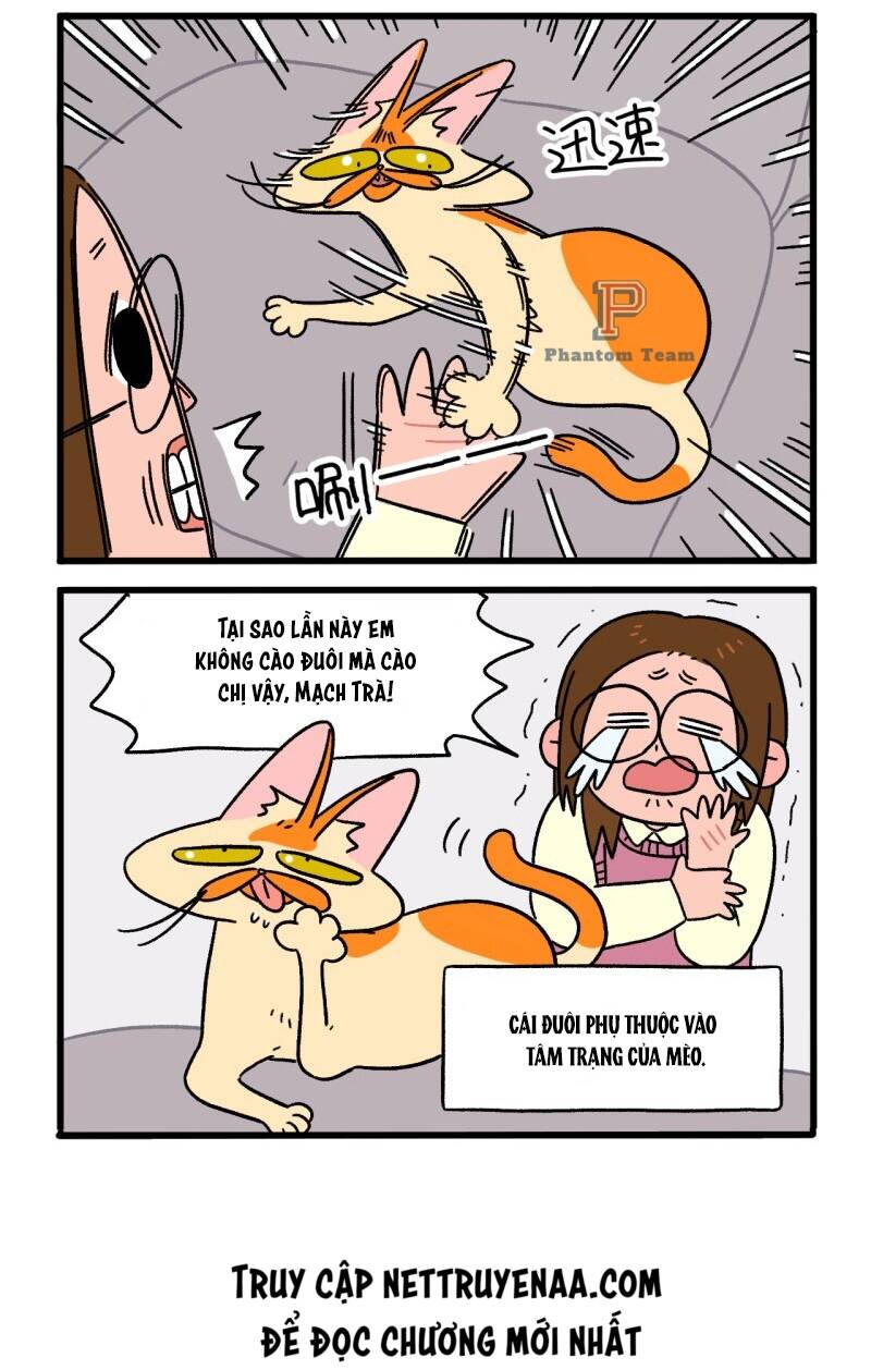 A Mãn Và Mạch Trà Chapter 8 - 6