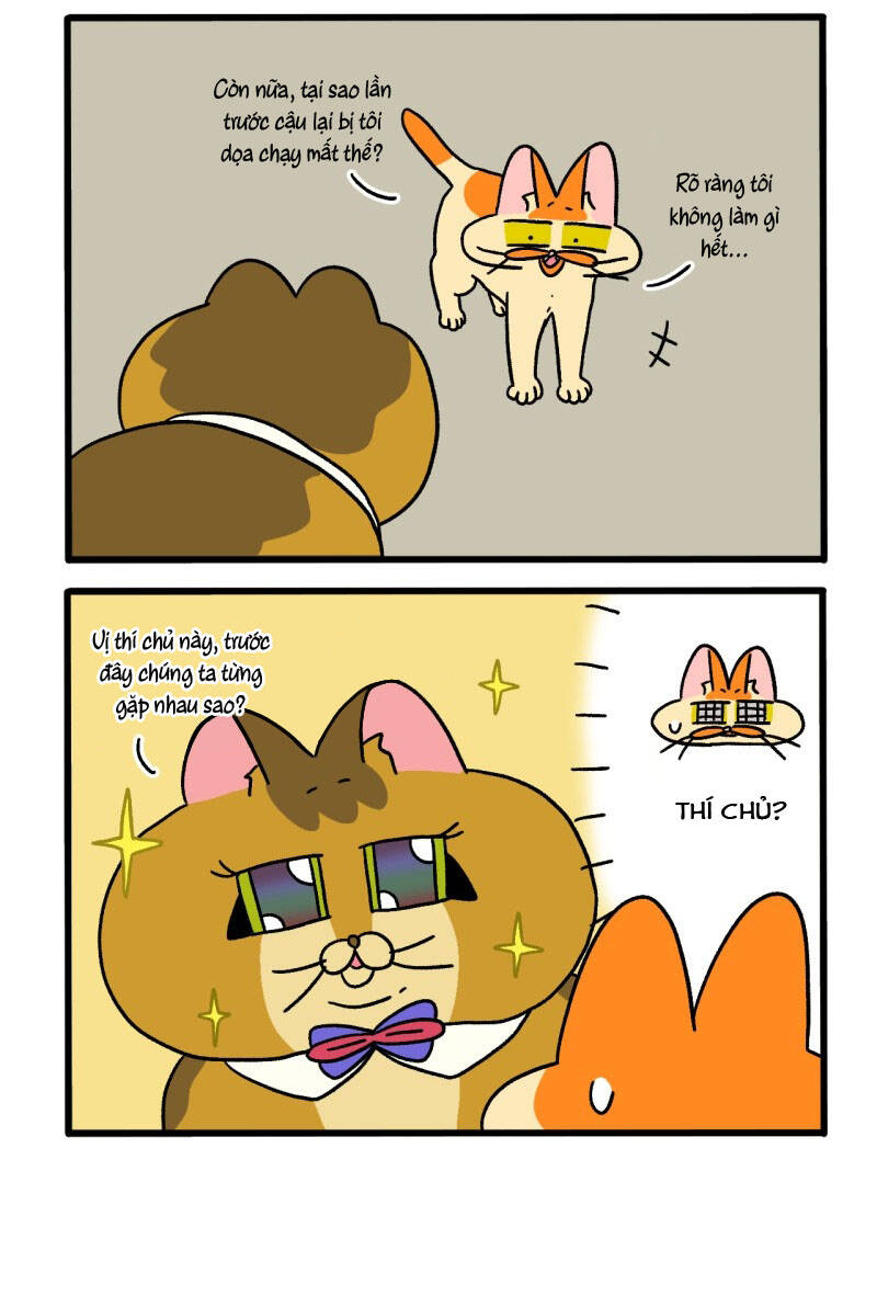 A Mãn Và Mạch Trà Chapter 81.1 - 4