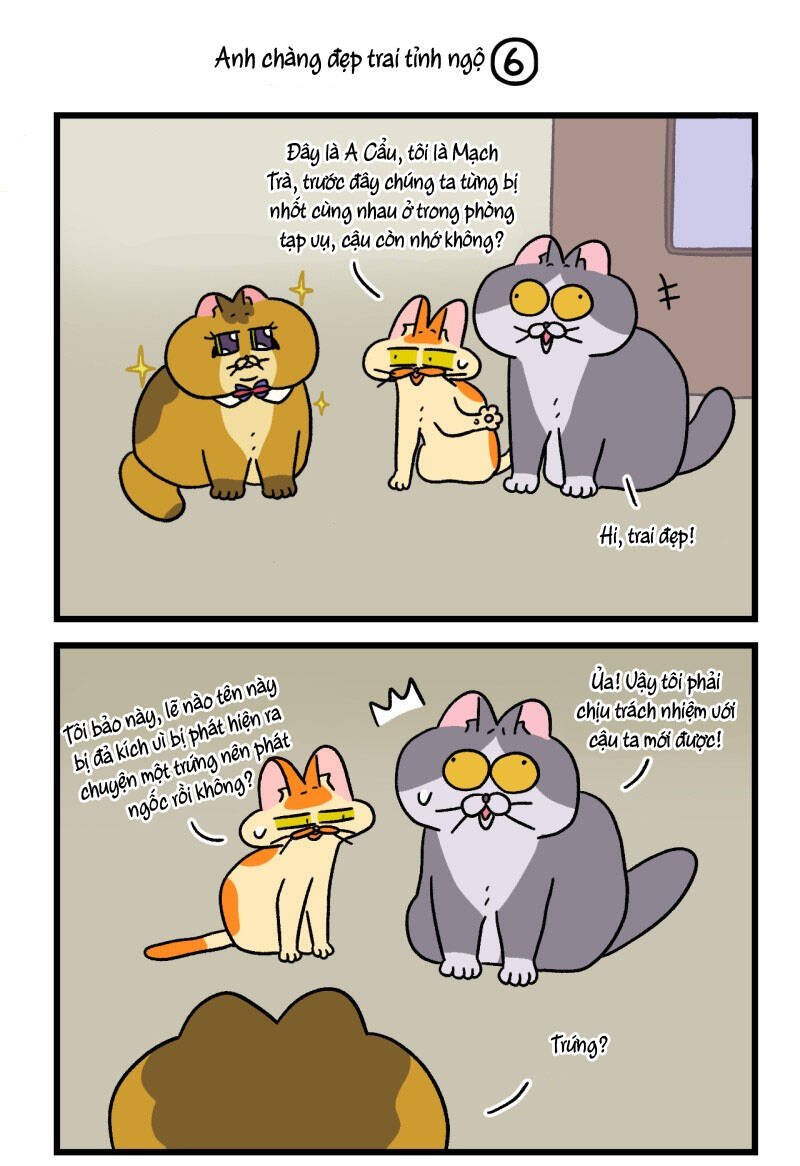 A Mãn Và Mạch Trà Chapter 81.1 - 5