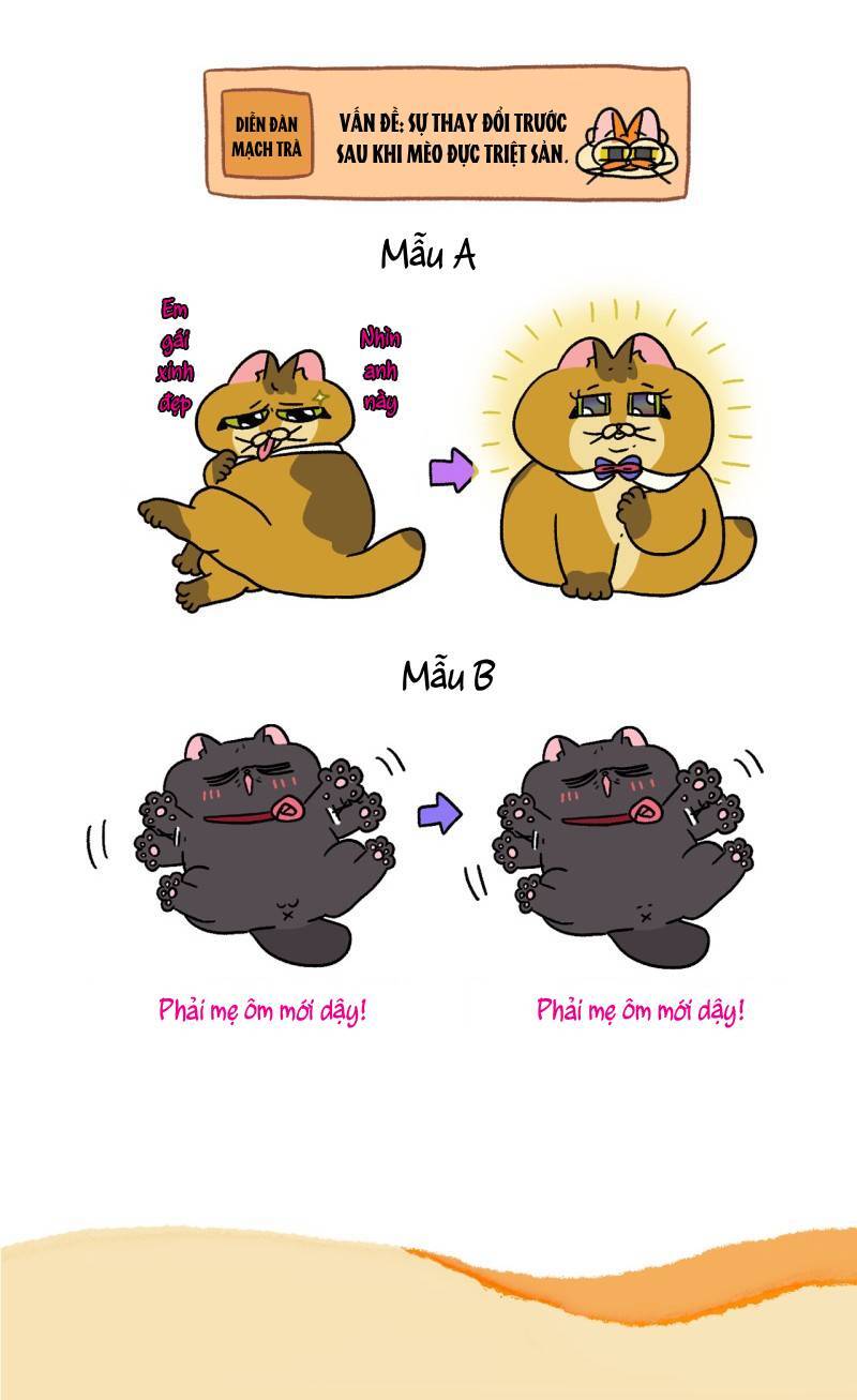A Mãn Và Mạch Trà Chapter 81.1 - 7