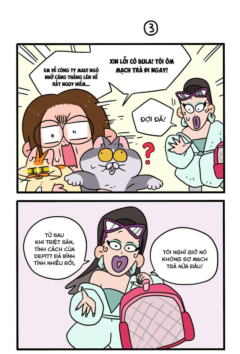 A Mãn Và Mạch Trà Chapter 81 - 5