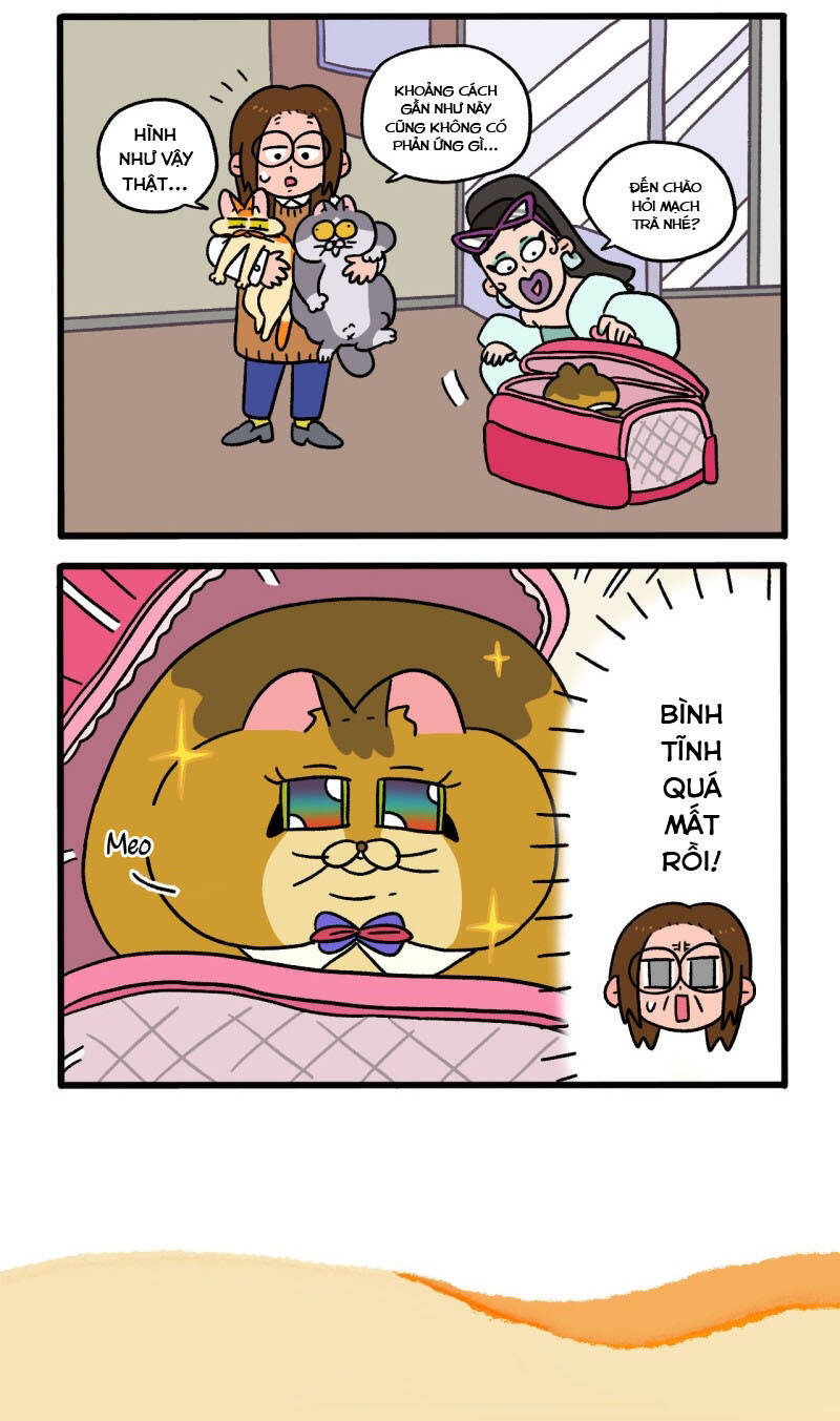 A Mãn Và Mạch Trà Chapter 81 - 6