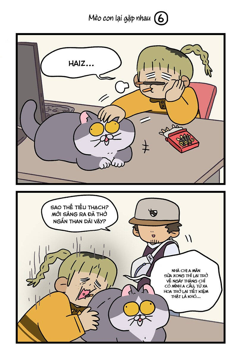 A Mãn Và Mạch Trà Chapter 82.1 - 5