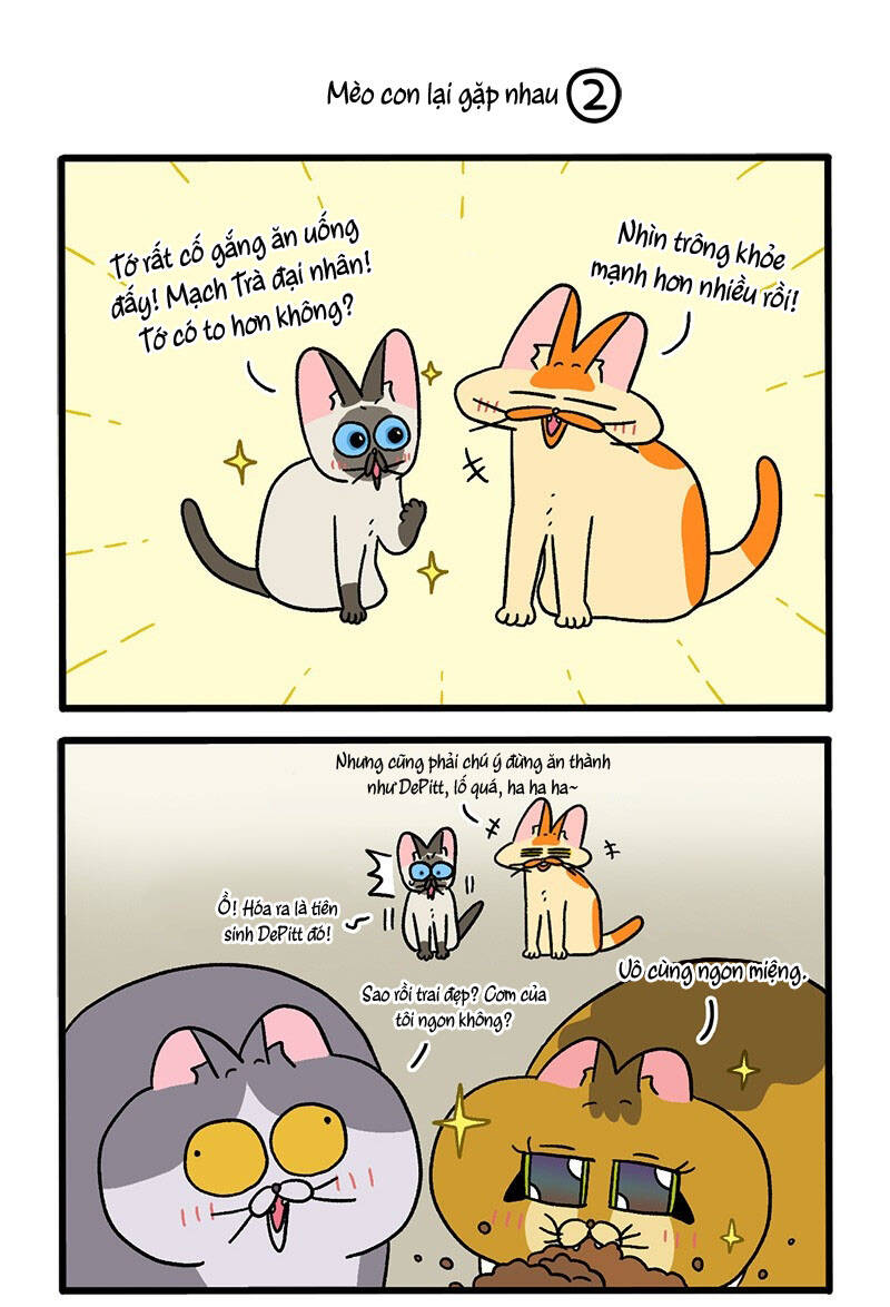 A Mãn Và Mạch Trà Chapter 82 - 3