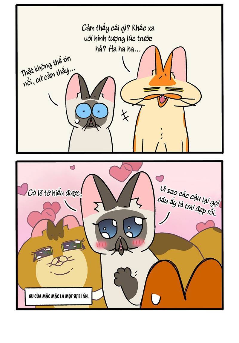 A Mãn Và Mạch Trà Chapter 82 - 4