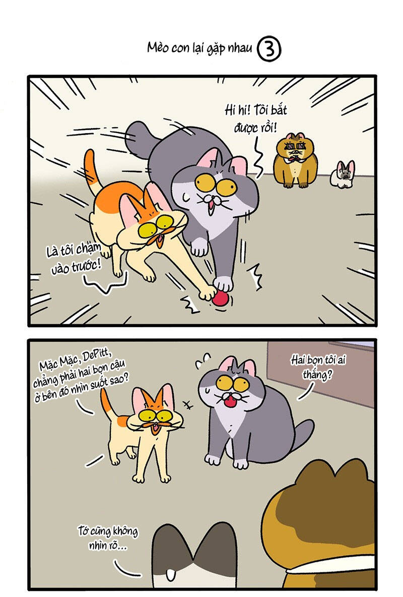 A Mãn Và Mạch Trà Chapter 82 - 5