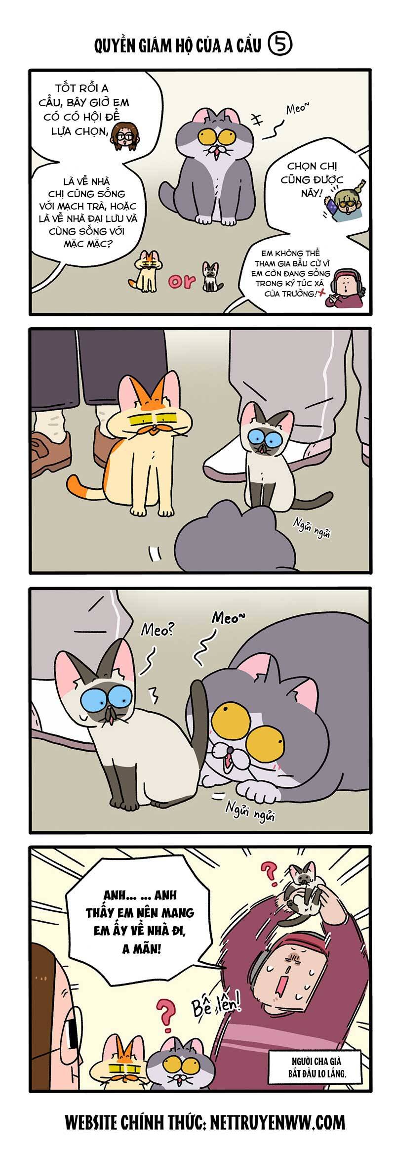 A Mãn Và Mạch Trà Chapter 88.1 - 2