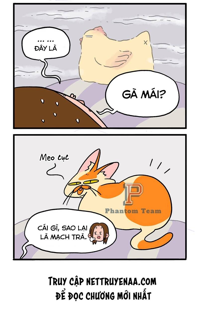 A Mãn Và Mạch Trà Chapter 9 - 6