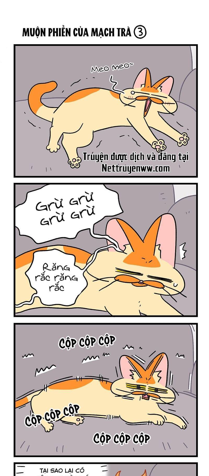 A Mãn Và Mạch Trà Chapter 91 - 3