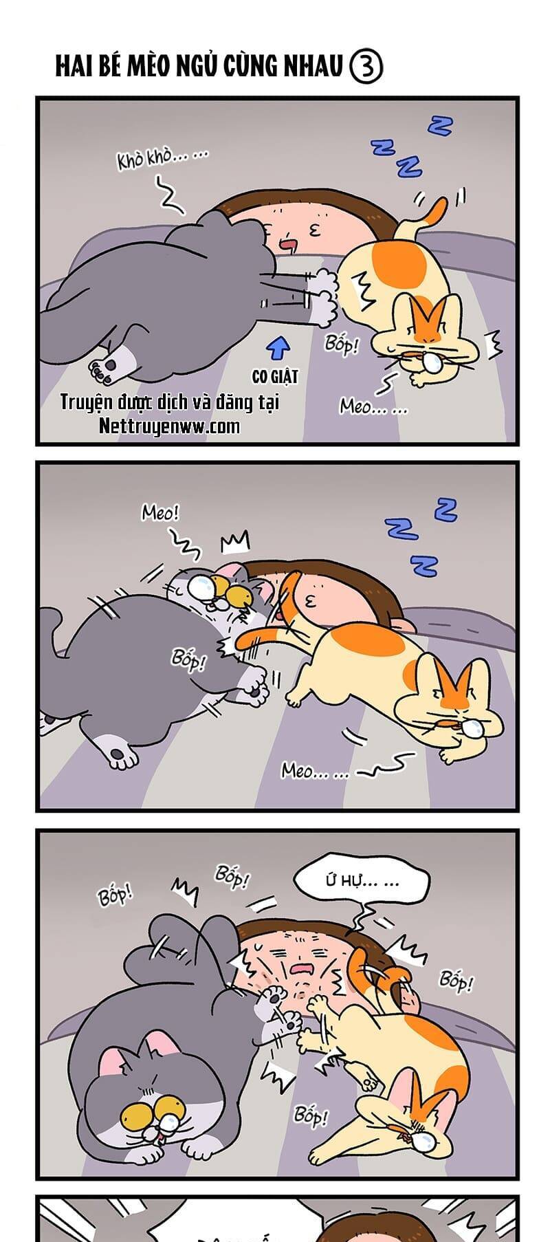 A Mãn Và Mạch Trà Chapter 93 - 3