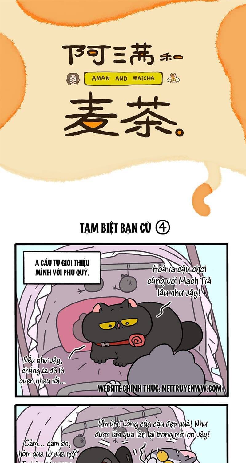 A Mãn Và Mạch Trà Chapter 96.1 - 1