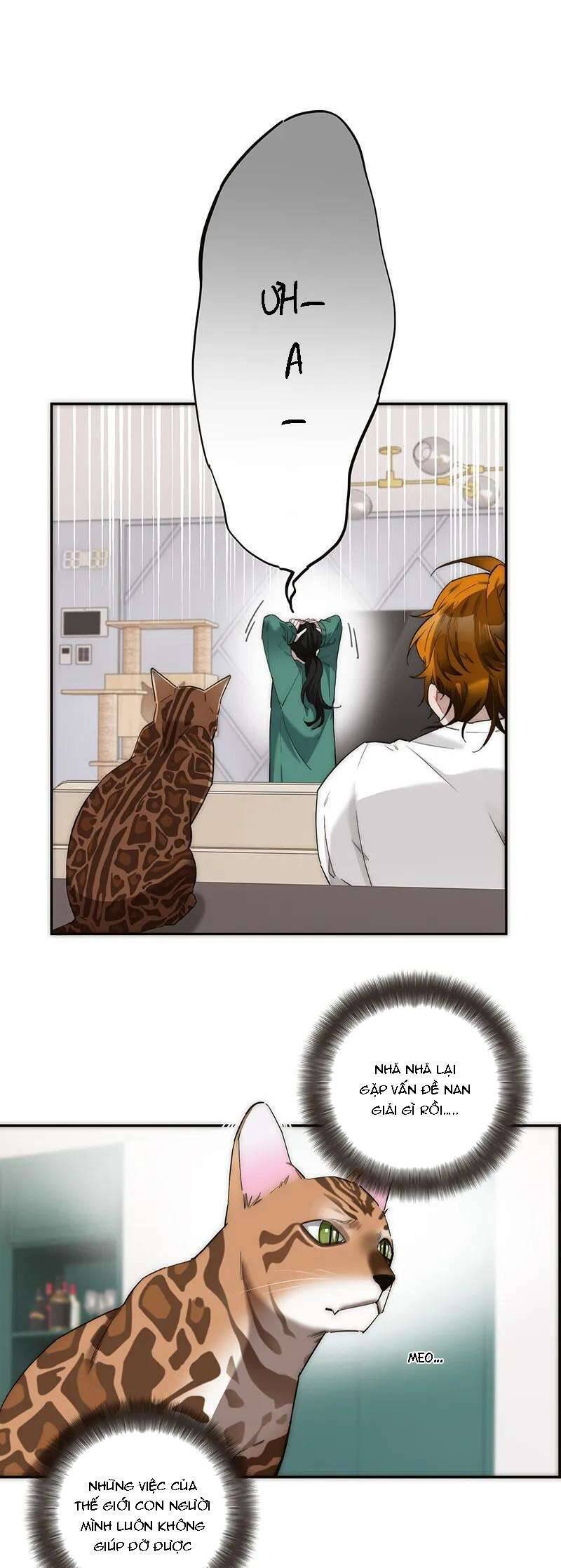 Ân Nhân Của Tôi Không Phải Học Giả Chapter 13 - 11