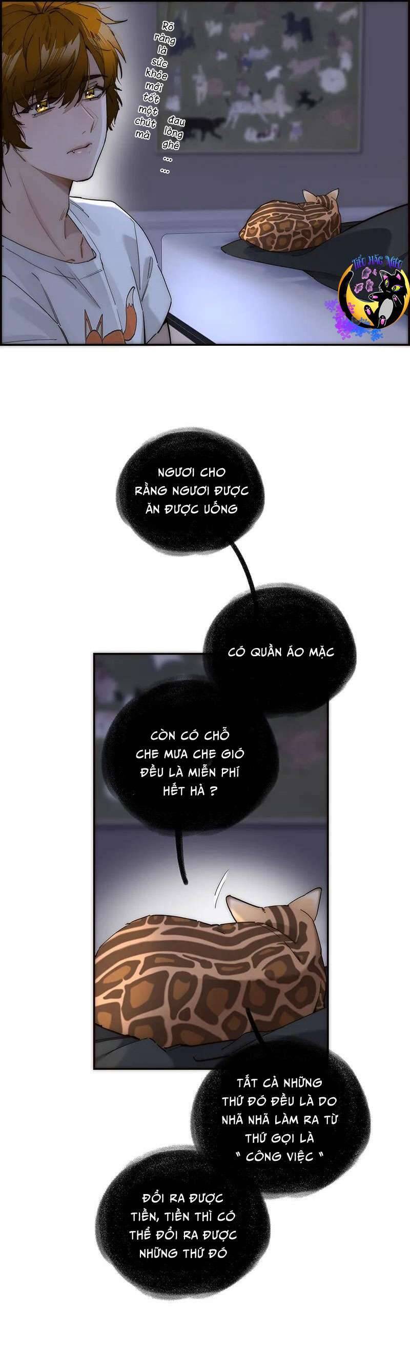 Ân Nhân Của Tôi Không Phải Học Giả Chapter 19 - 11