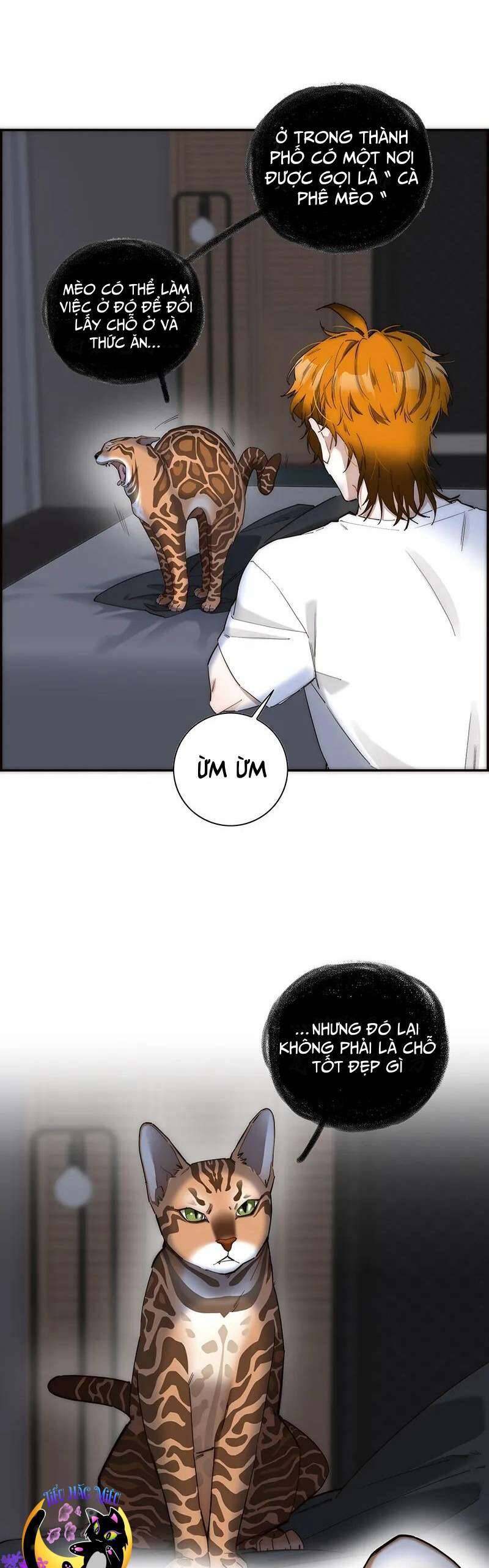 Ân Nhân Của Tôi Không Phải Học Giả Chapter 20 - 2