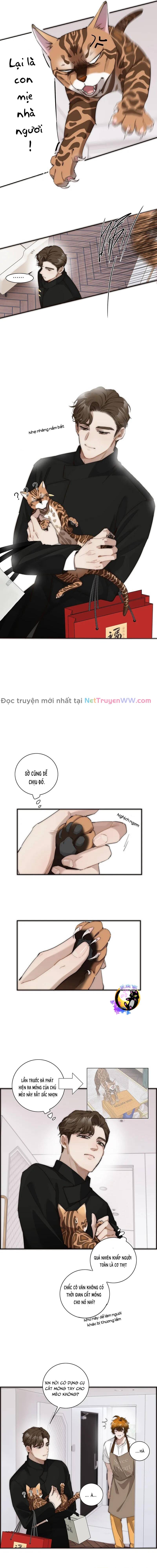 Ân Nhân Của Tôi Không Phải Học Giả Chapter 34 - 6