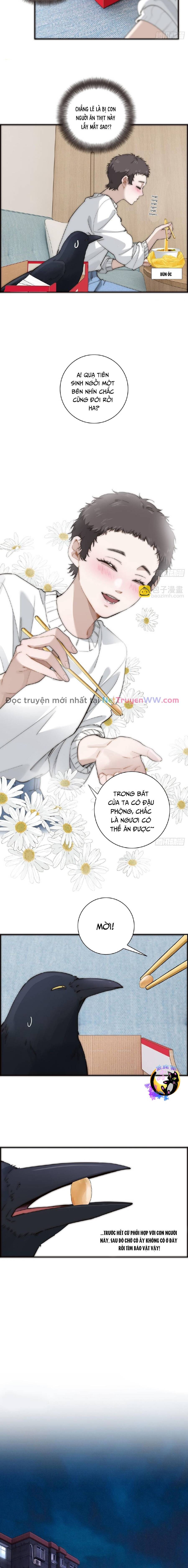 Ân Nhân Của Tôi Không Phải Học Giả Chapter 37 - 6