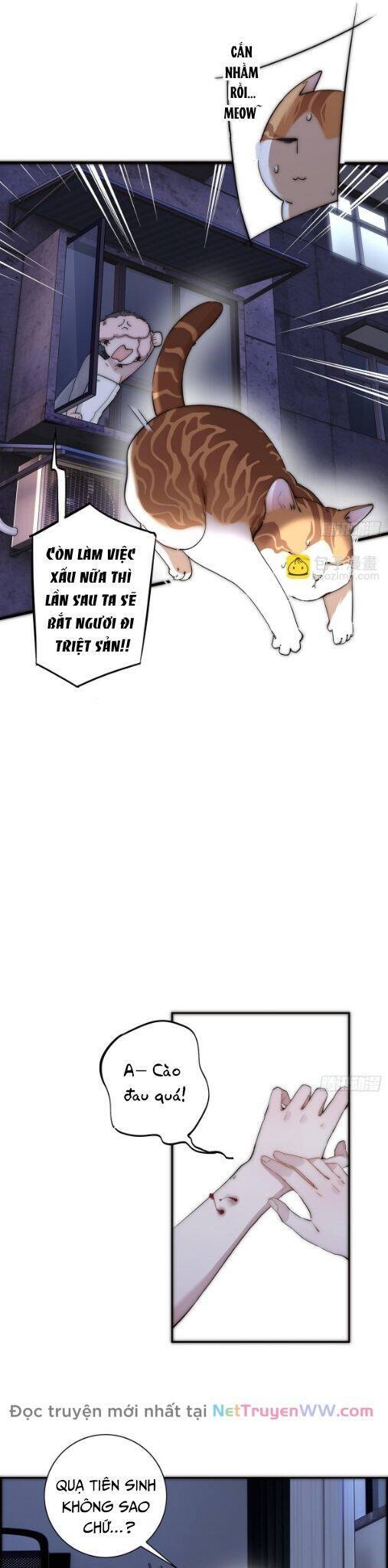 Ân Nhân Của Tôi Không Phải Học Giả Chapter 37 - 10