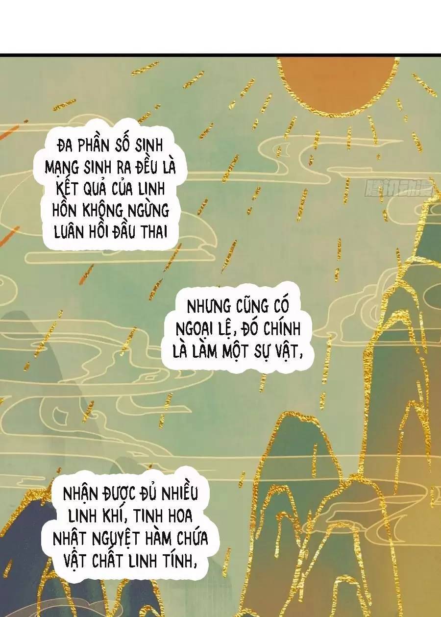 Đại Thừa Kỳ Mới Có Nghịch Tập Hệ Thống Chapter 23.2 - 11