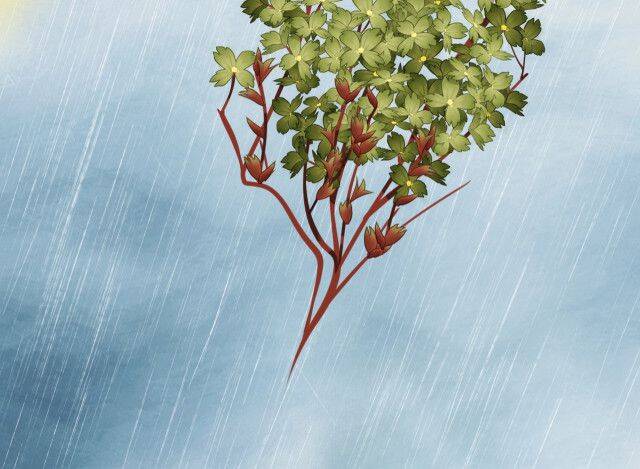 Tướng Quân, Cẩn Thận Chó Dữ Chapter 12 - 74