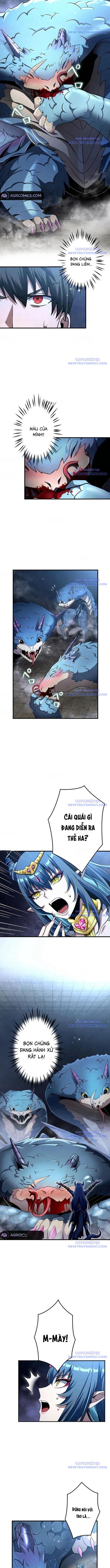 Vượt Cấp Với Kỹ Năng Thần Thánh Chapter 13 - 7