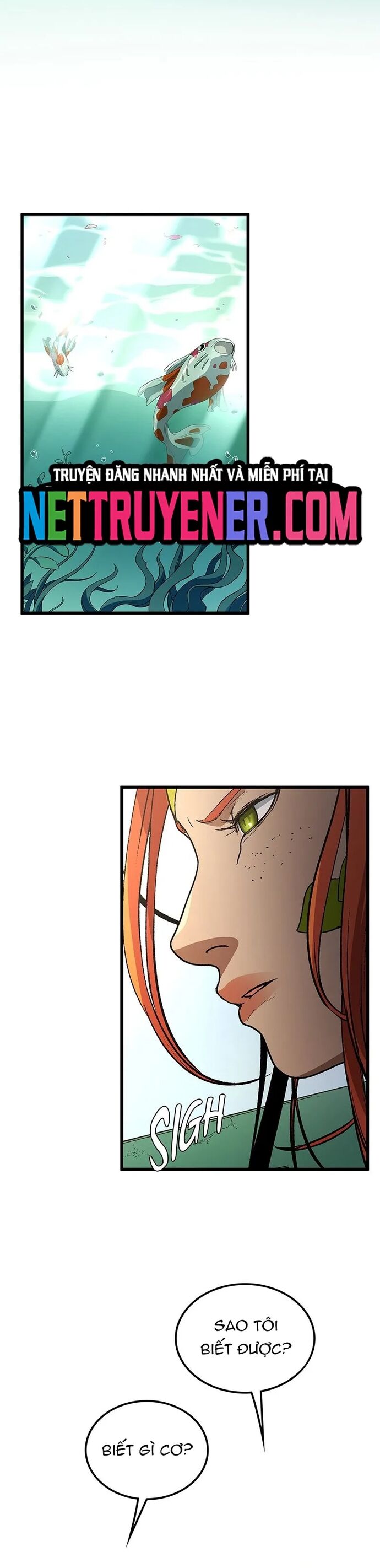 Sự Trở Lại Của Giáo Sư Runebound Chapter 35 - 29