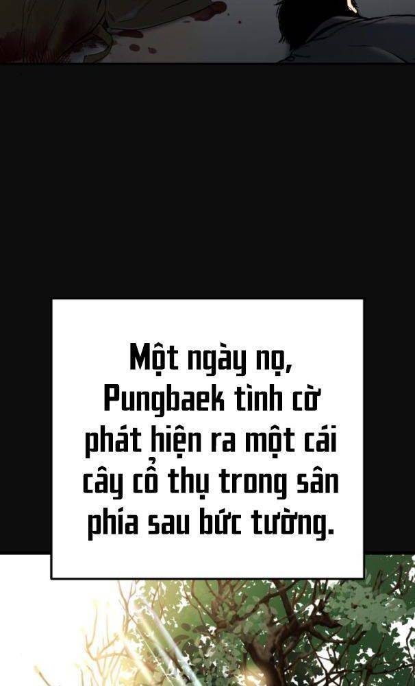 Lời Nguyền Của Dangun Chapter 25 - 33