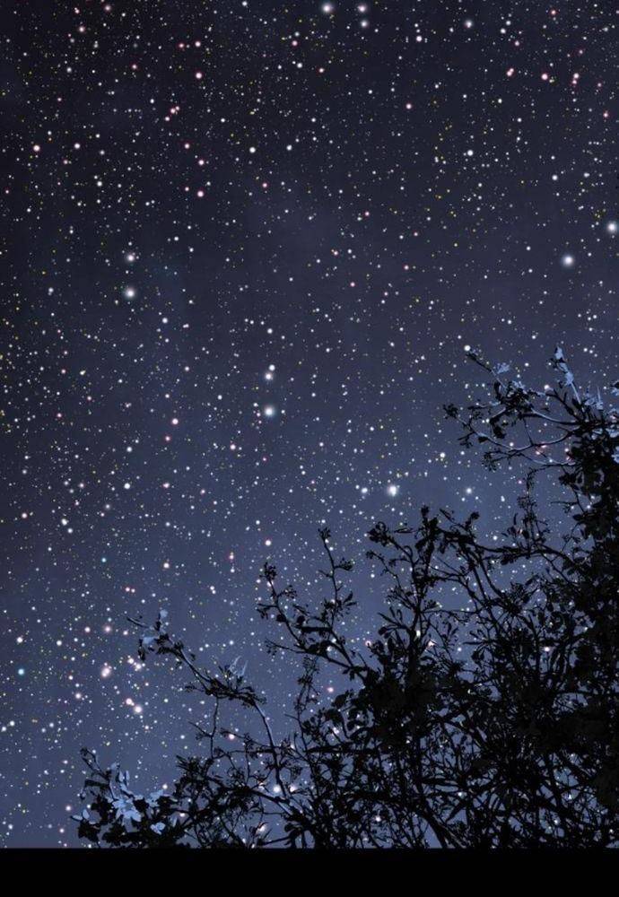 Lời Nguyền Của Dangun Chapter 29 - 49