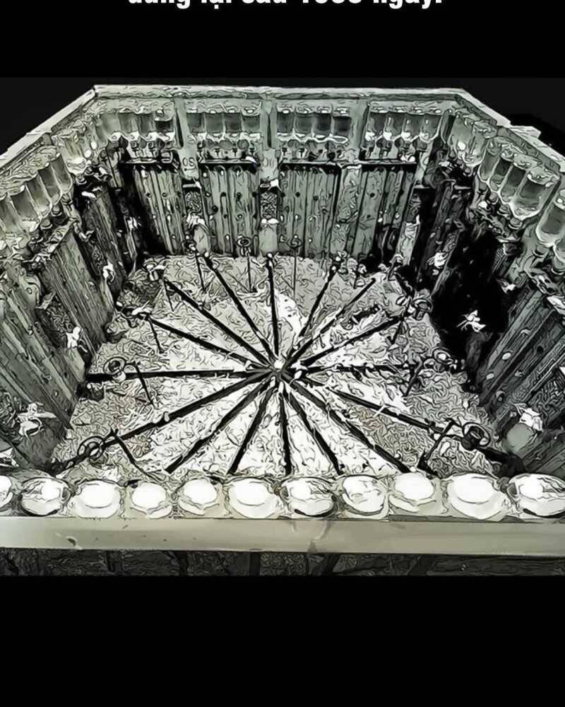 Lời Nguyền Của Dangun Chapter 33 - 3