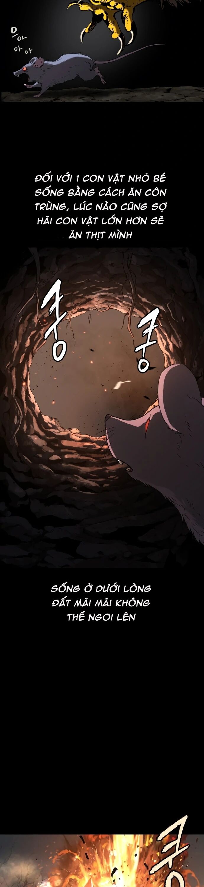 Lời Nguyền Của Dangun Chapter 66 - 36