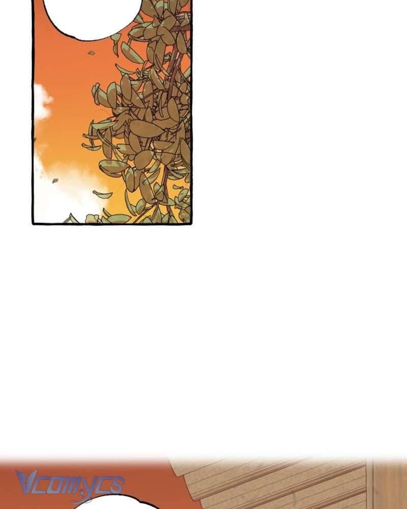 Chuyện Tình Hoa Lưu Ly Chapter 2 - 137