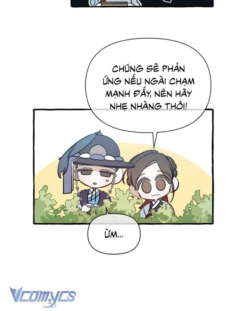 Chuyện Tình Hoa Lưu Ly Chapter 3 - 51