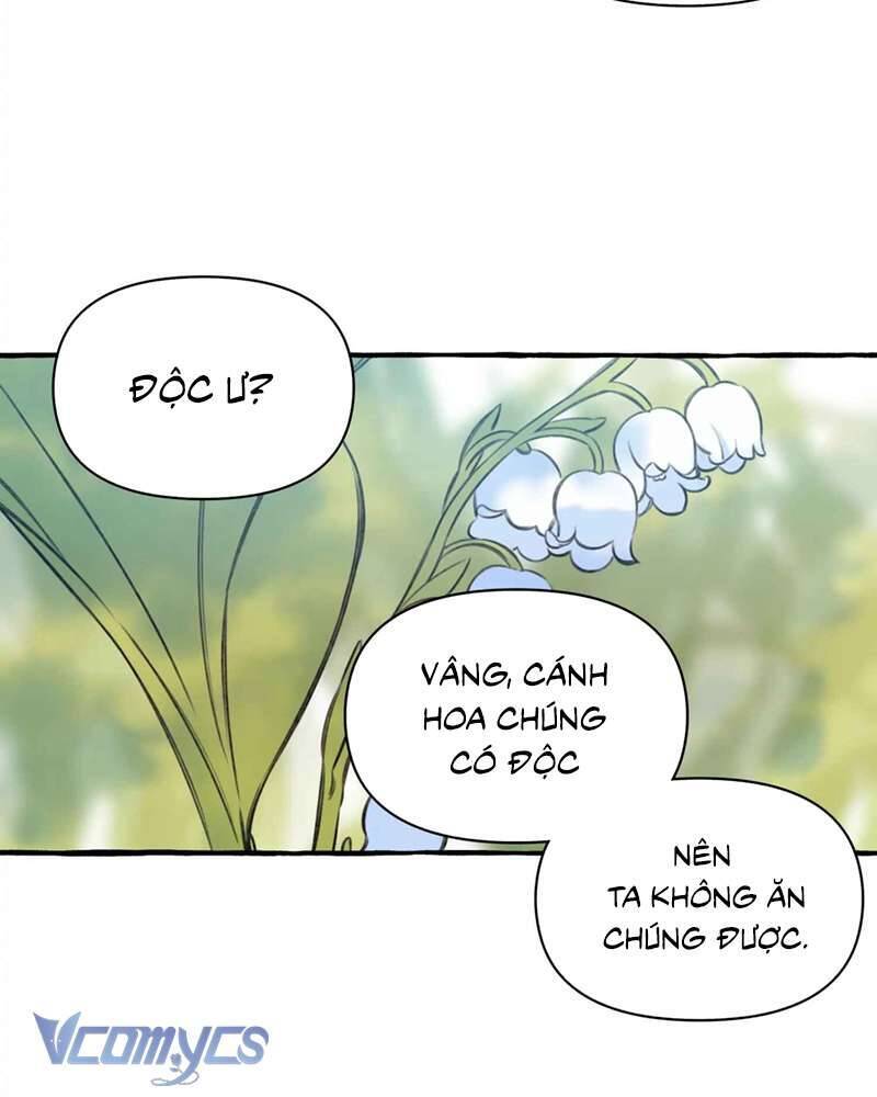 Chuyện Tình Hoa Lưu Ly Chapter 4 - 95