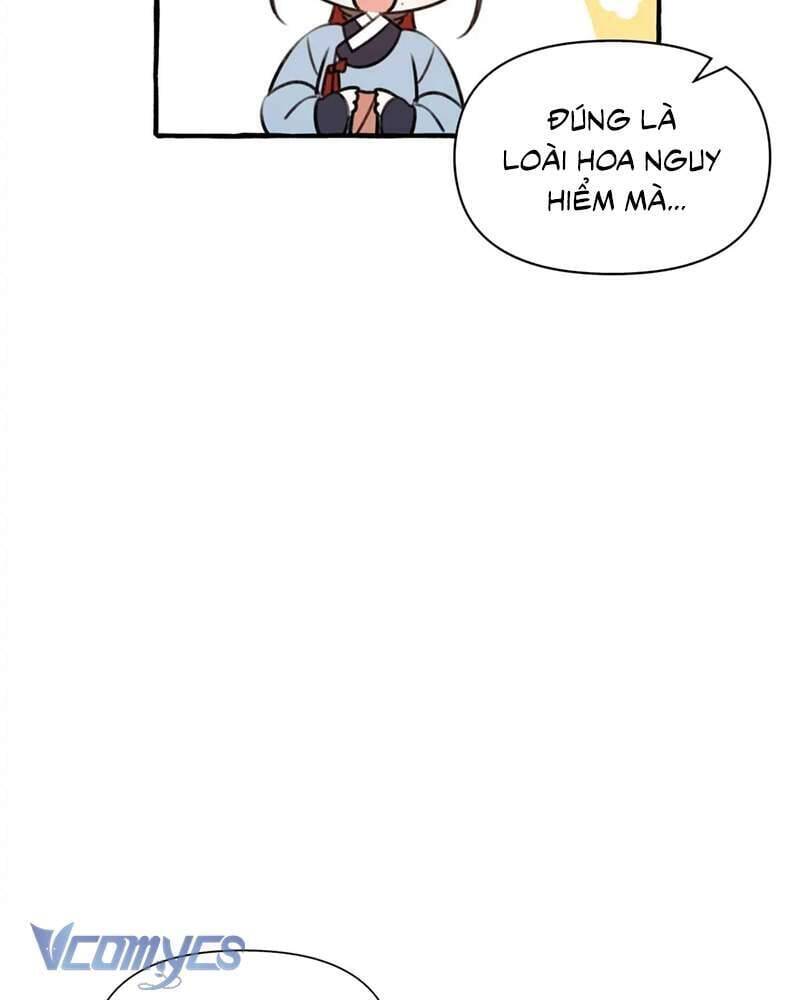 Chuyện Tình Hoa Lưu Ly Chapter 4 - 97