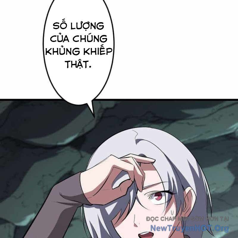 Vô Song Cùng Với Vũ Khí Ẩn Chapter 63 - 13