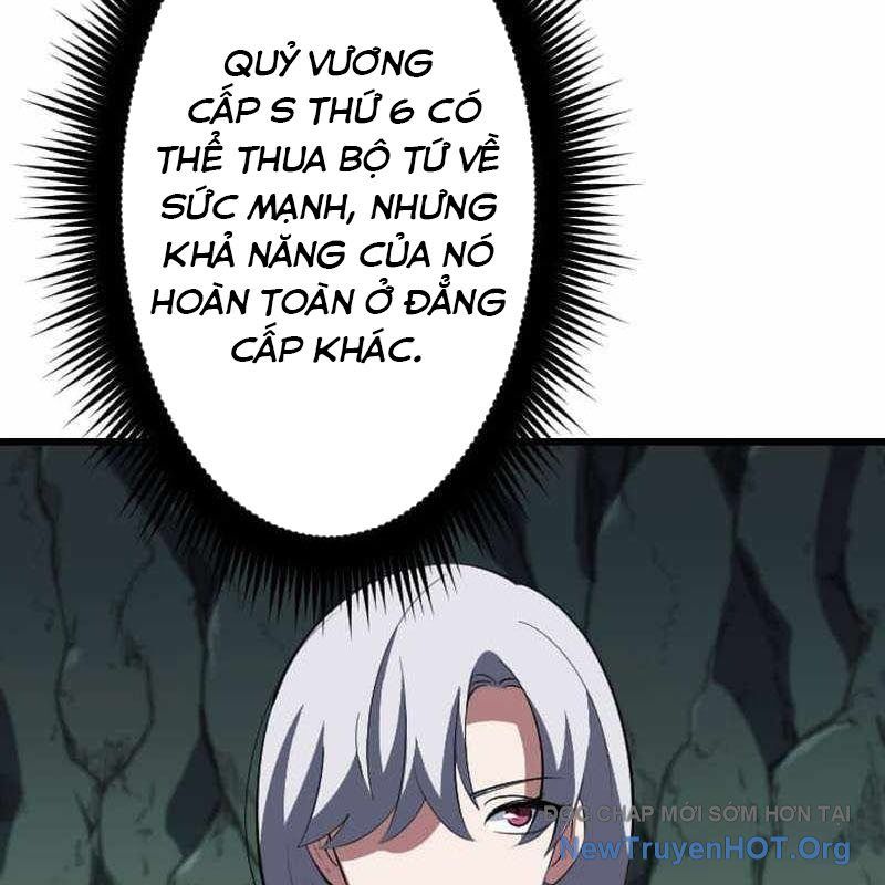 Vô Song Cùng Với Vũ Khí Ẩn Chapter 64 - 109