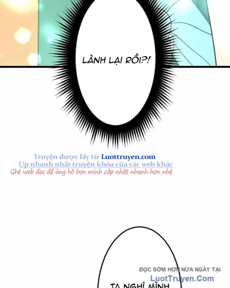 Vô Song Cùng Với Vũ Khí Ẩn Chapter 74 - 70