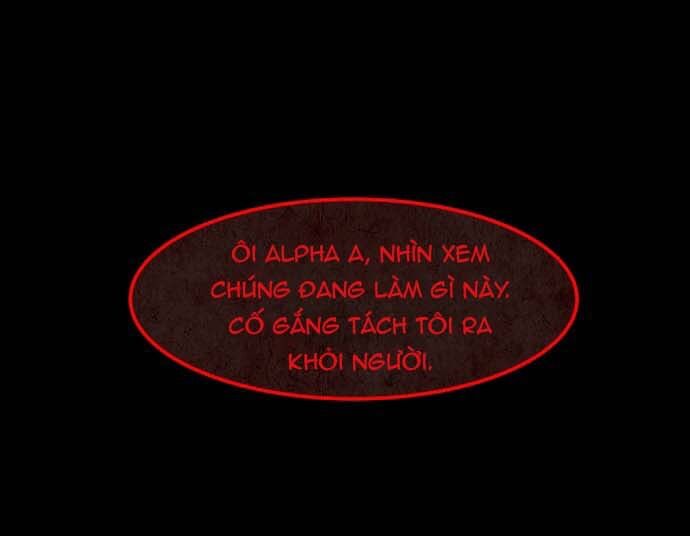 Cột Sống Đỏ Chapter 23 - 51