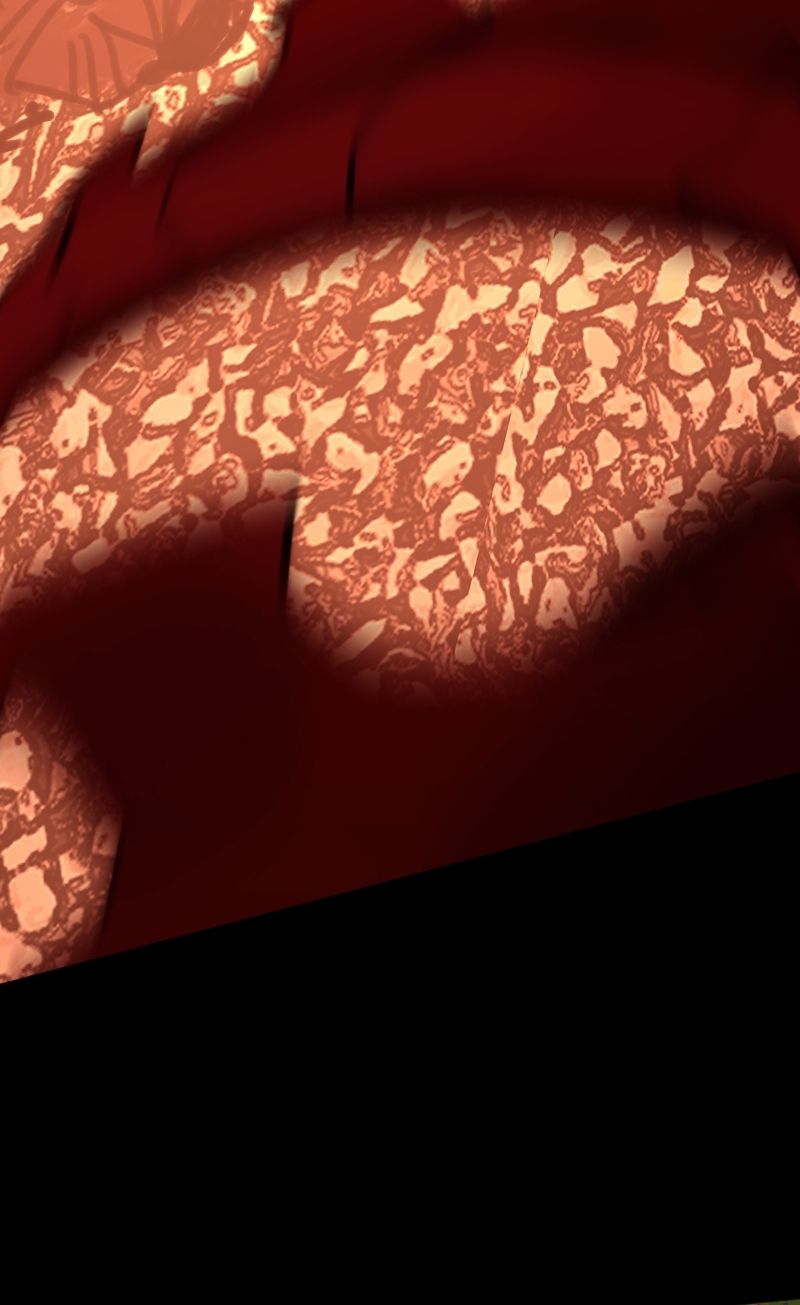 Cột Sống Đỏ Chapter 34 - 75