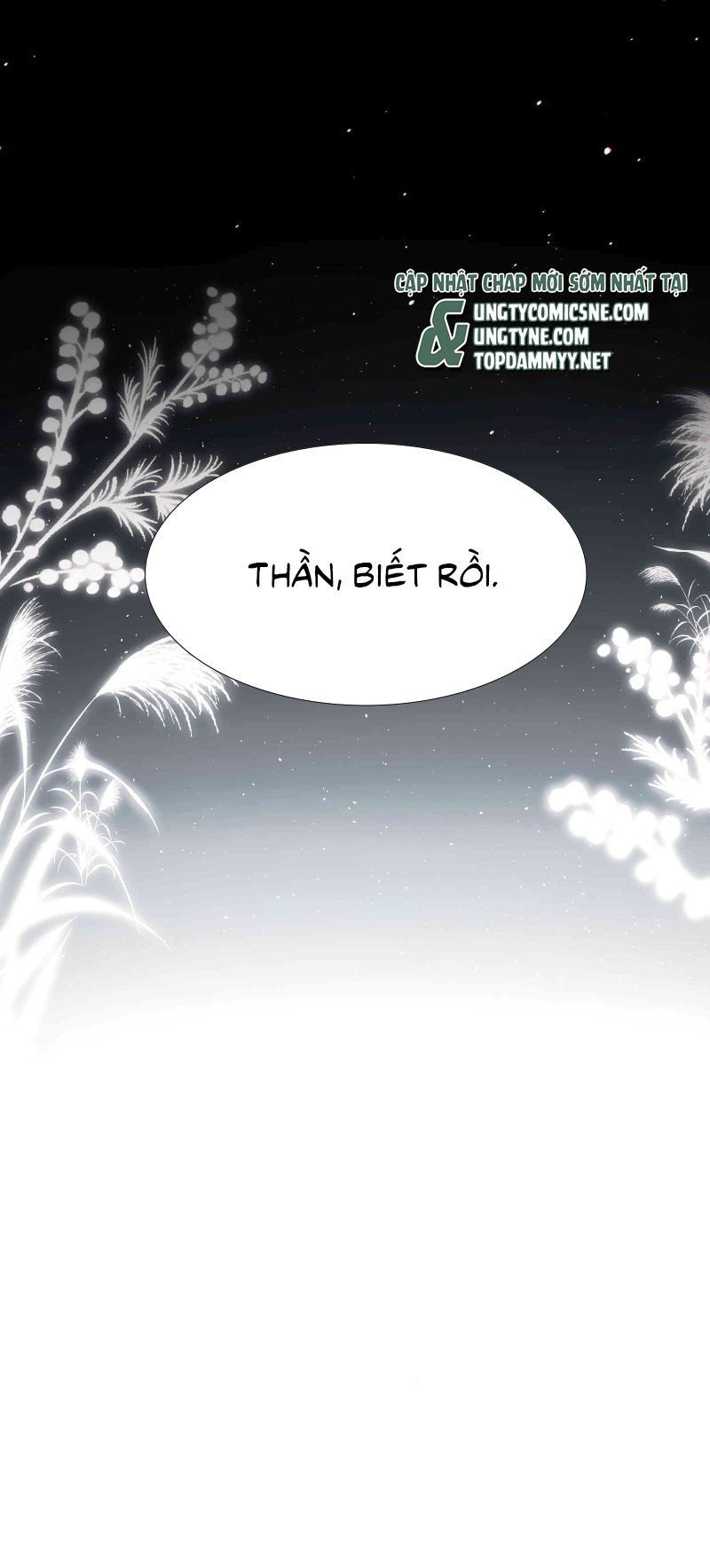 Kim Phong Ngọc Lộ Chapter 29 - 20