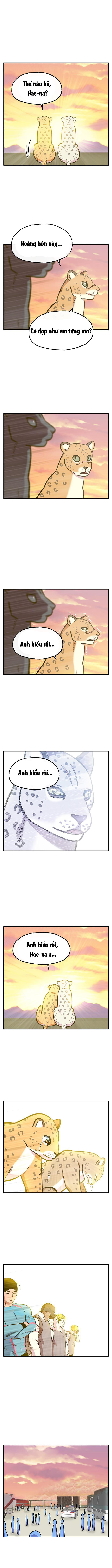 Chúa Tể Muôn Loài Chapter 43 - 19