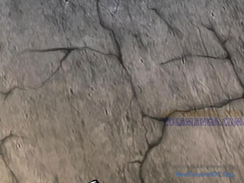 Toàn Cầu Ngự Thú: Ta có thế thấy lộ tuyến tiến hóa Chapter 33 - 122