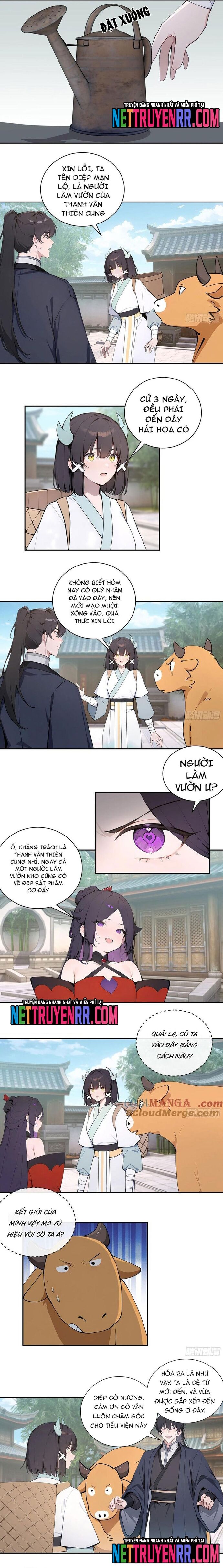 Bách Thê Phổ: Thánh nữ đều gọi ta là phu quân Chapter 63 - 11