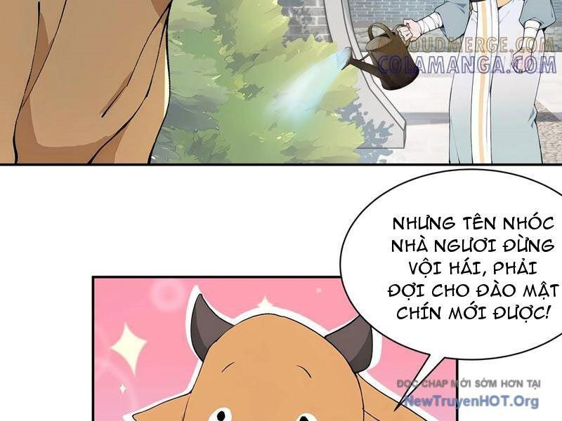 Bách Thê Phổ: Thánh nữ đều gọi ta là phu quân Chapter 65 - 94