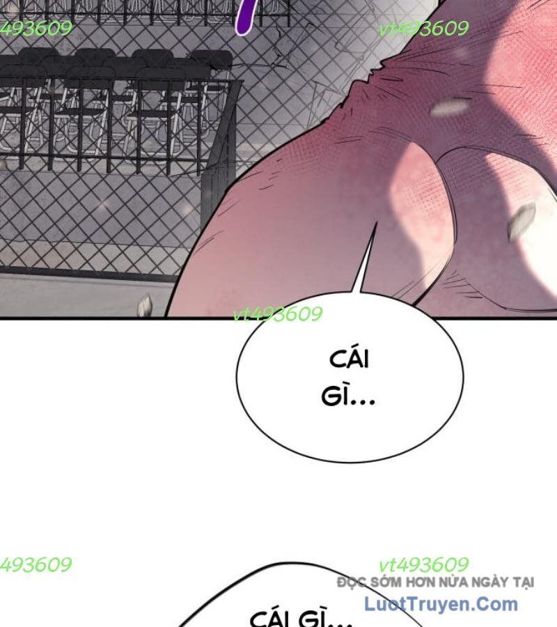 Cuộc Sống Học Đường Của Đội Trưởng Quận Chapter 38 - 11