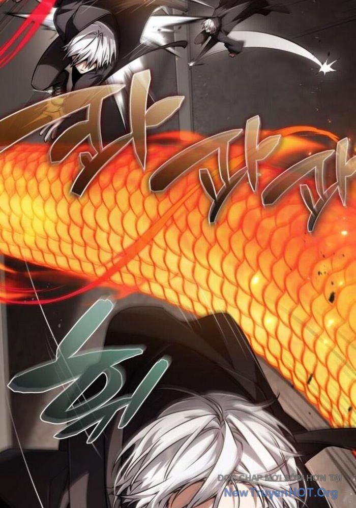 Đa Sắc Ma Pháp Sư Thiên Tài Chapter 39 - 91