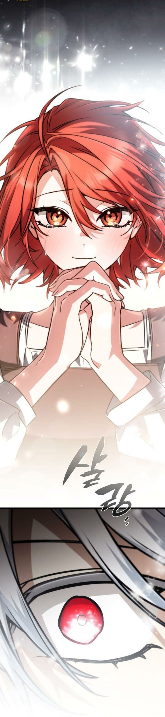 Đa Sắc Ma Pháp Sư Thiên Tài Chapter 41.1 - 21