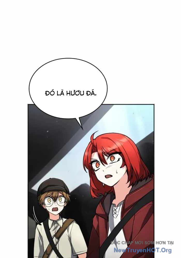 Đa Sắc Ma Pháp Sư Thiên Tài Chapter 45 - 14