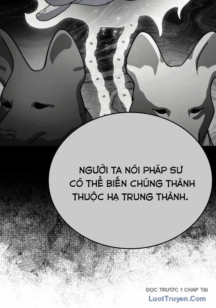Đa Sắc Ma Pháp Sư Thiên Tài Chapter 52 - 15