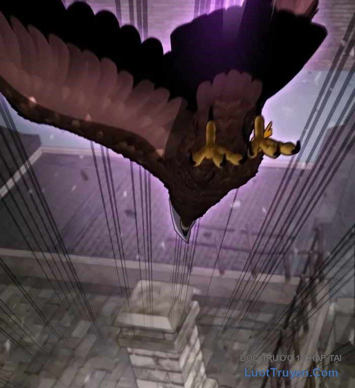 Đa Sắc Ma Pháp Sư Thiên Tài Chapter 52 - 51